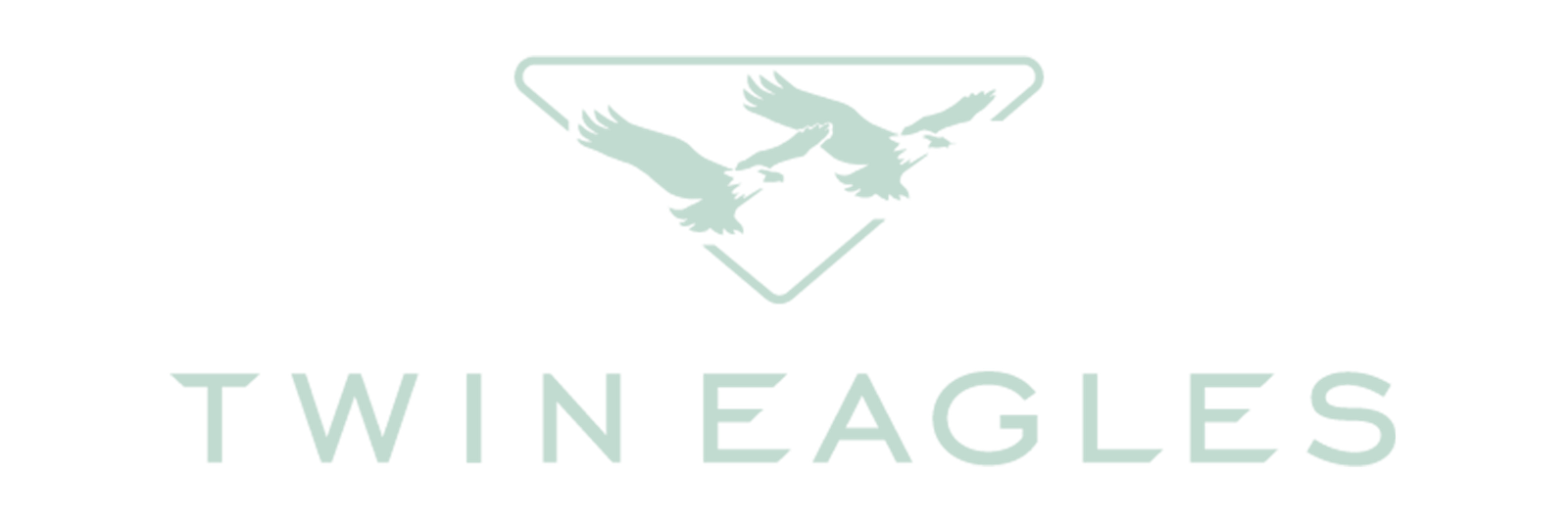 Twin Eagles Logo